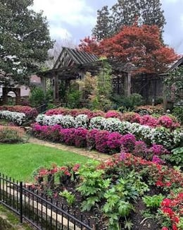 Tyler Rose Garden 2.0825